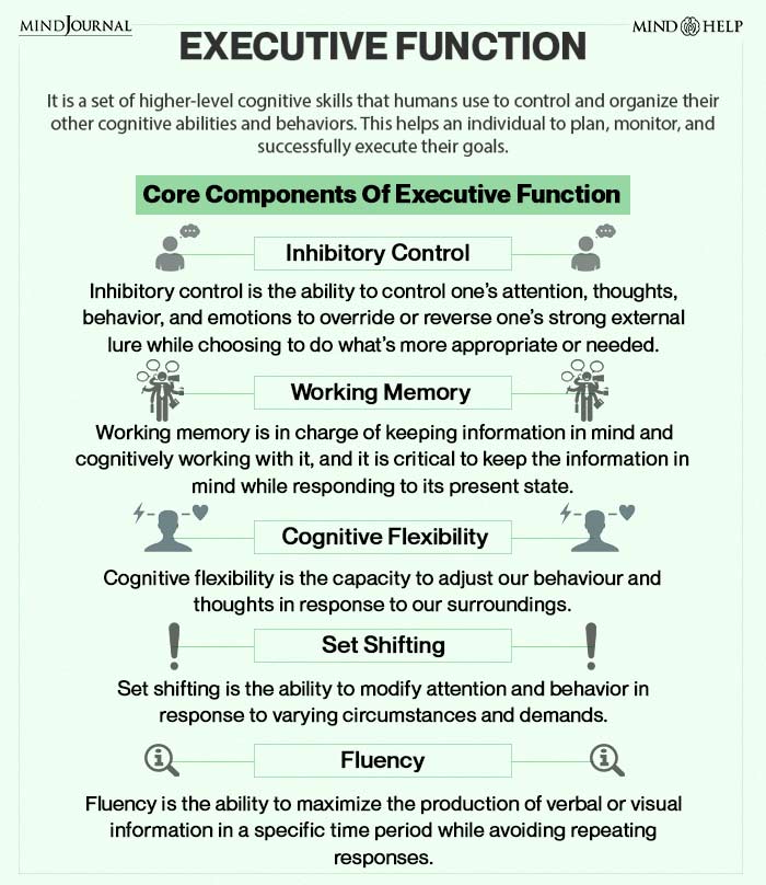 Core Components Of Executive Function