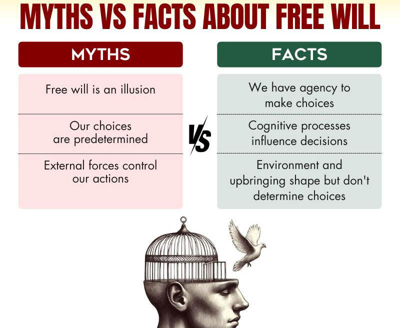 Myths vs Facts about free will