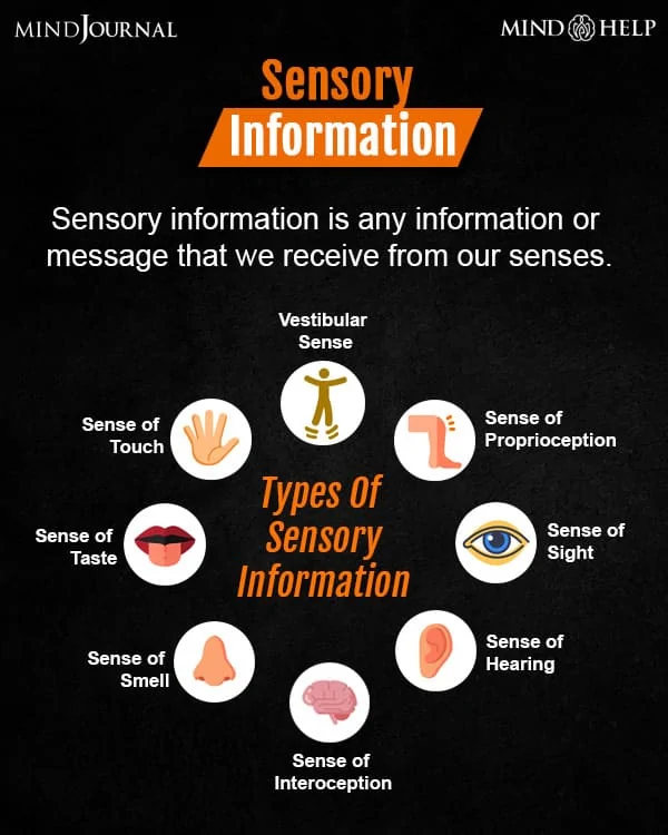 sensory information