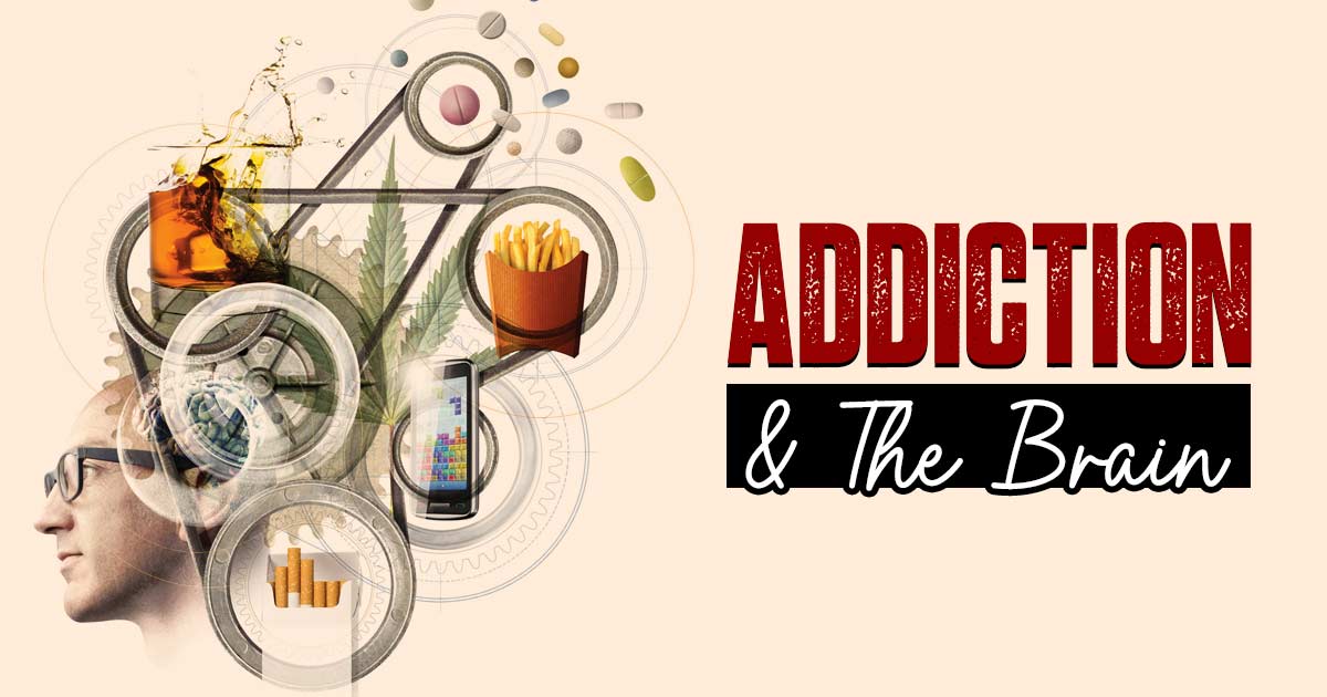 Addiction & The Brain
