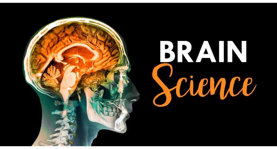 brain science
