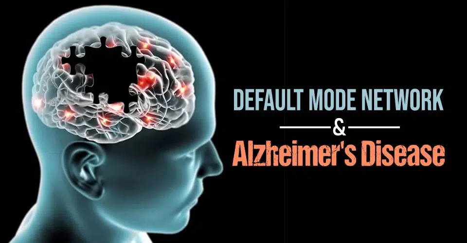 DMN And Alzheimers Disease