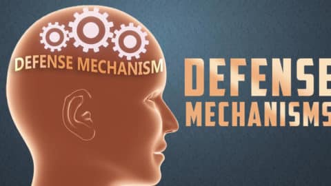 15 defense mechanisms