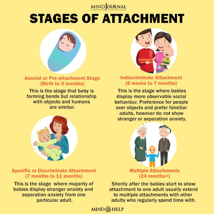 Stages Of Attachment