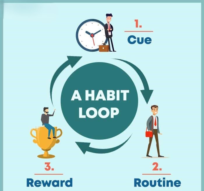 The Science Of Habit Formation