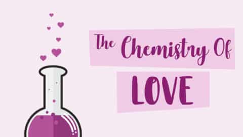 The chemistry of love site