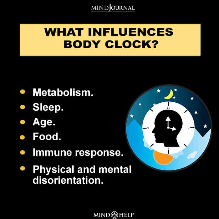 What Influences Body Clock?