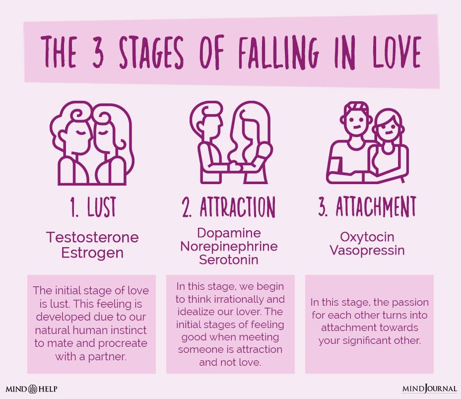 3 Stages Of Falling In Love