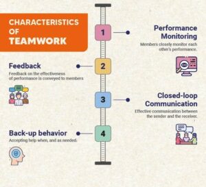 characteristics of temwork