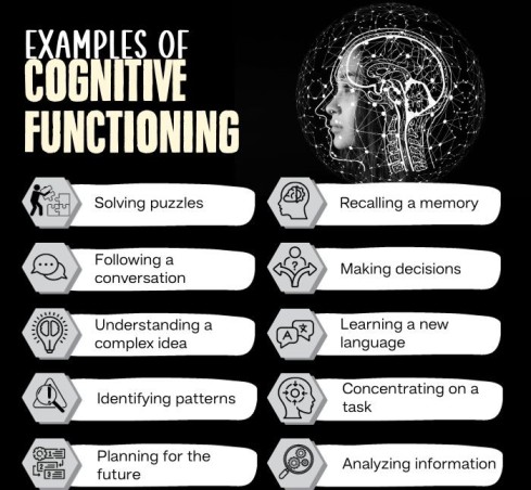 Examples Of Cognitive Functioning