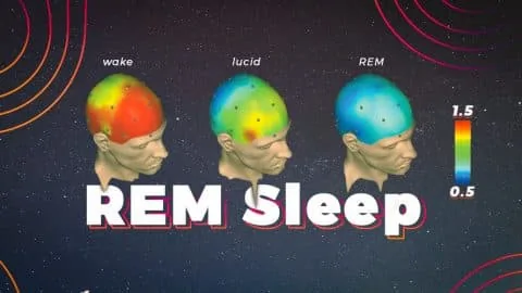 REM Sleep