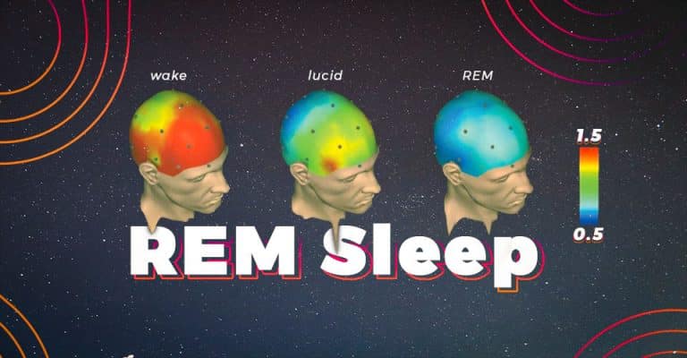 REM Sleep