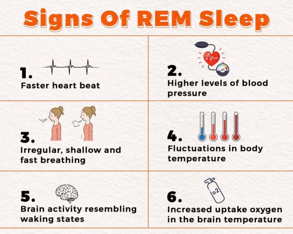 Signs Of REM Sleep