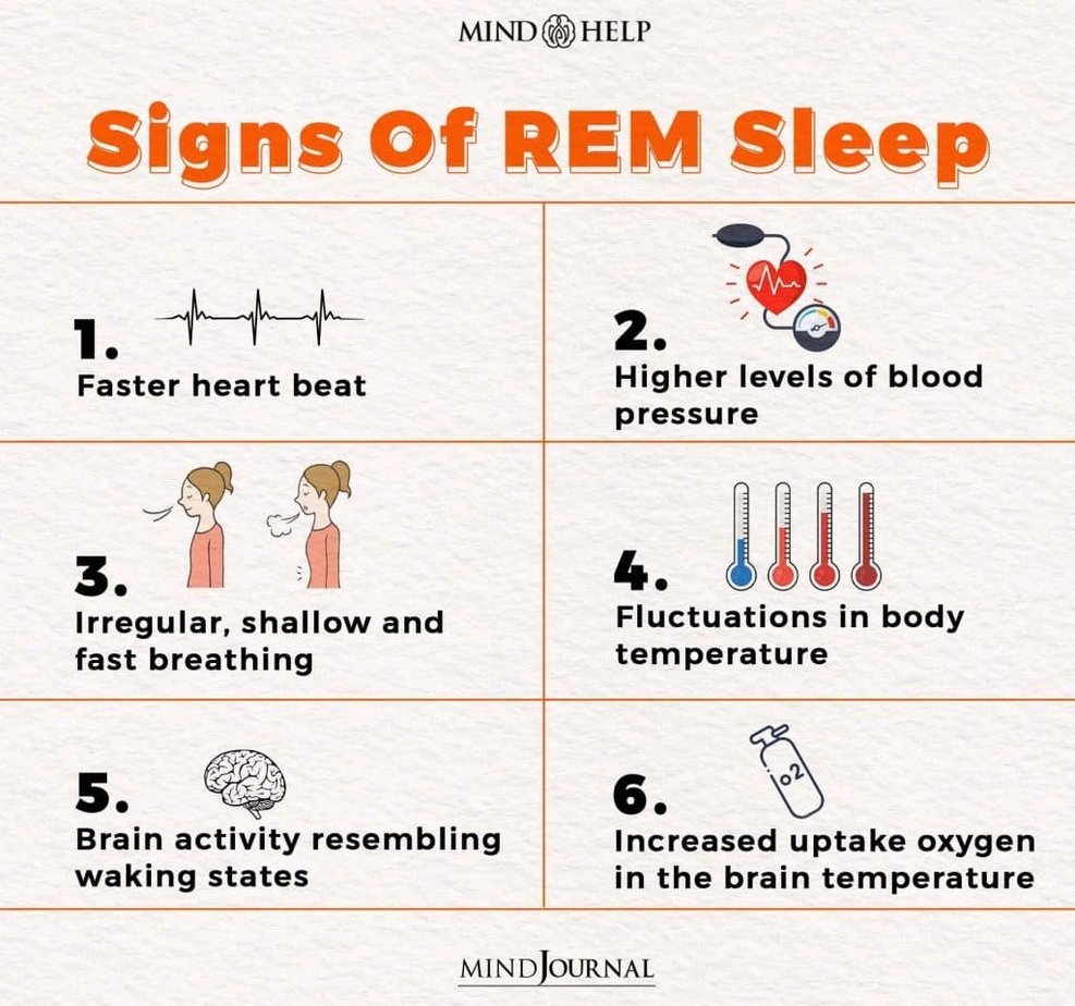 Signs Of REM Sleep