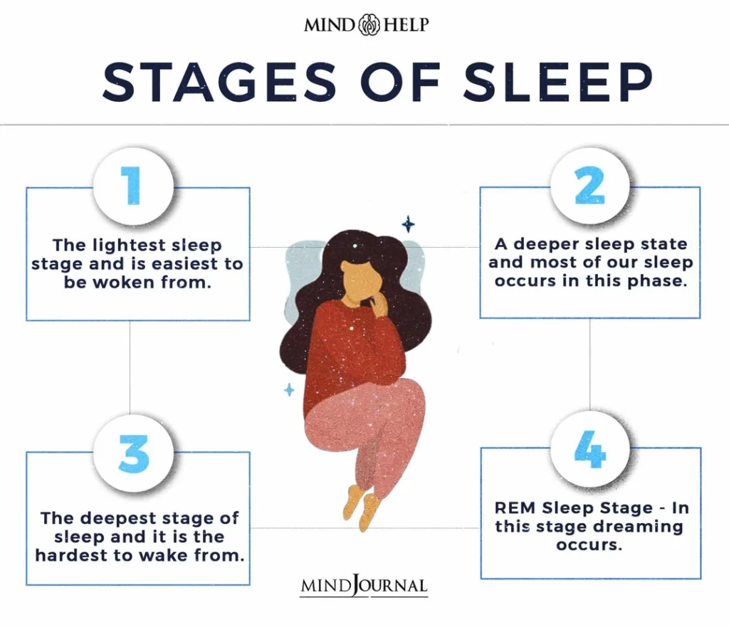 Stages Of Sleep