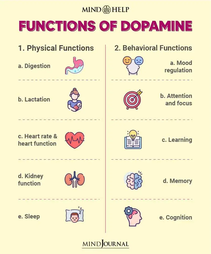 What Role Dopamine Plays