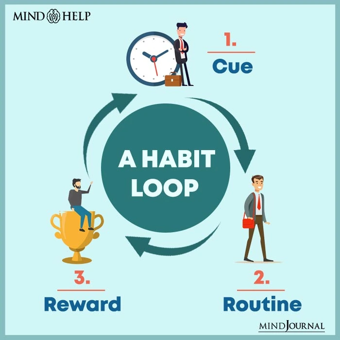 The Science Of Habit Formation