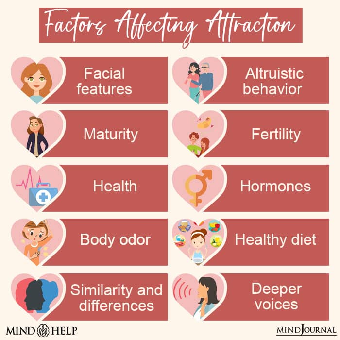 Factors Influencing Attraction