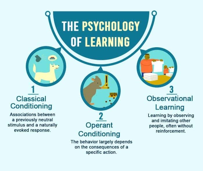 Psychology Of Learning