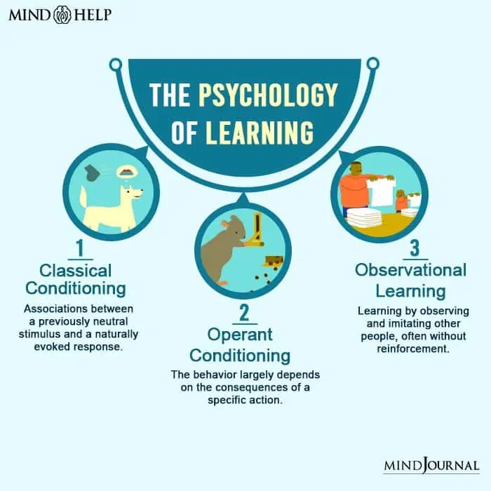 Psychology Of Learning