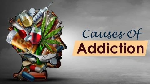 Causes Of Addiction