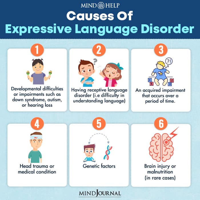Causes Of Expressive Language Disorder
