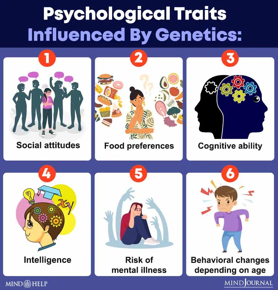 Psychological traits influenced by genetics