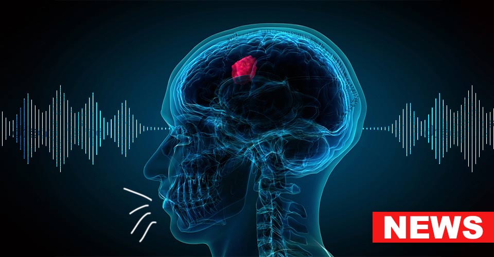 A Brain Region Is Responsible For Humans Speaking The Intended Words, Study Finds