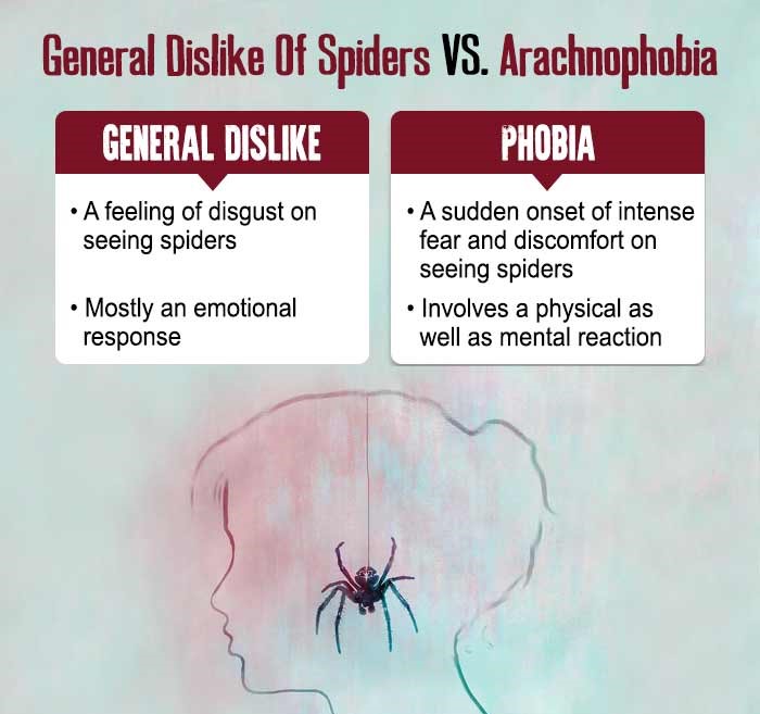 General Dislike of Spiders vs Arachnophobia