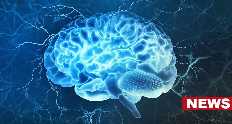 Scientists Discover Neuropixels