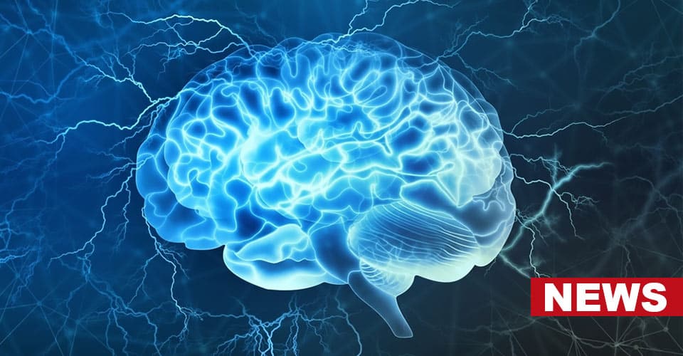 Scientists Discover Neuropixels