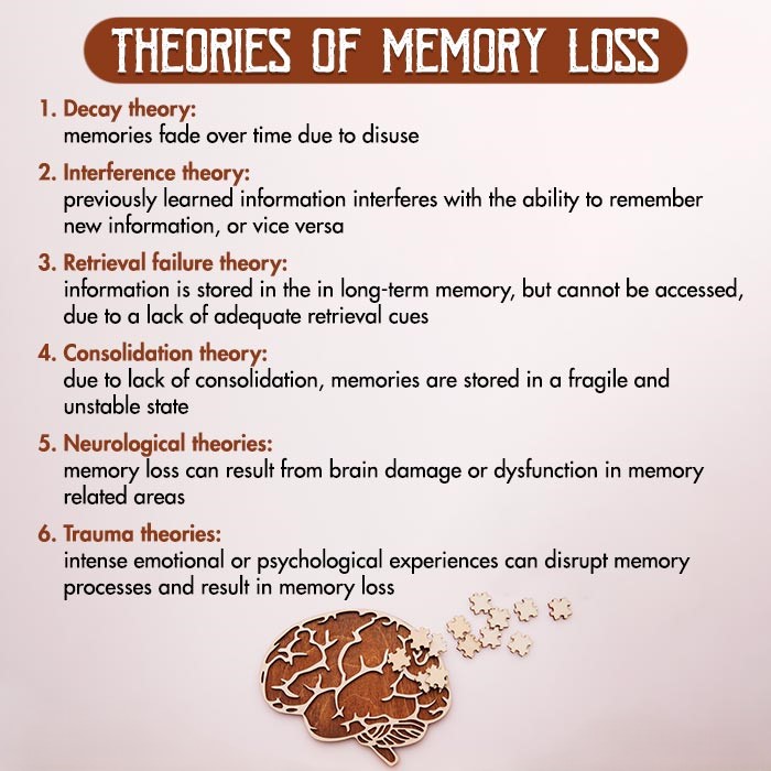 Theories Of Memory Loss