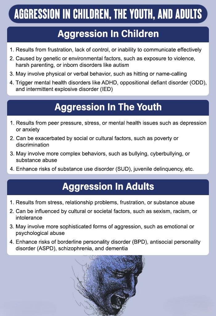 Aggression In Children  The Youth  And Adults