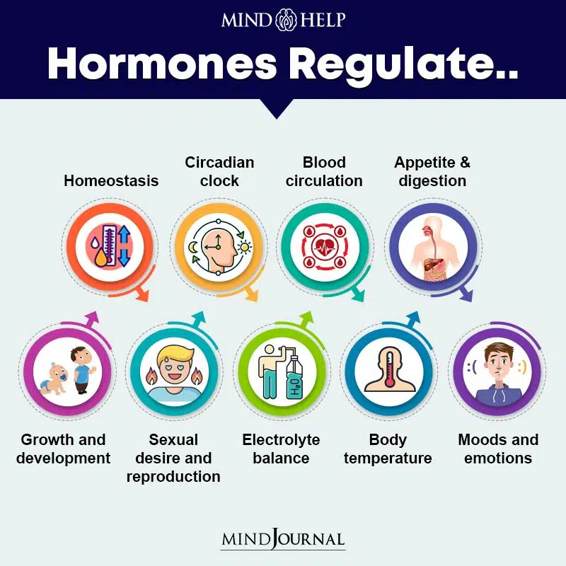 Hormones regulate