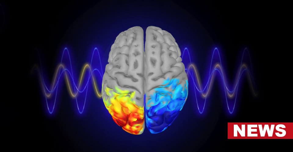 Certain Brain Waves Influence Our Social Behavior, Study Finds