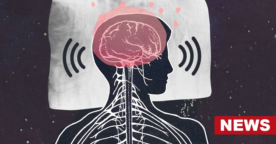 Our Brains Hear Sounds When We Sleep, Study Finds