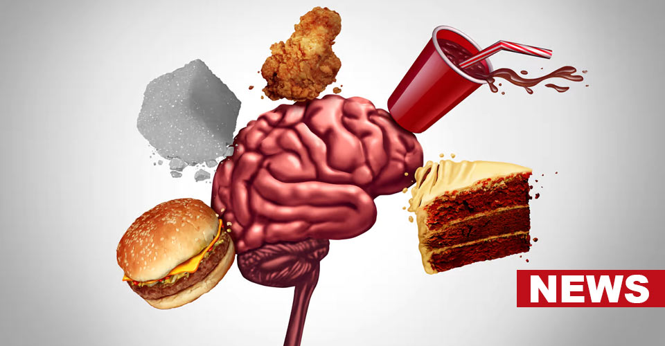 What Drives Cravings For Fatty Foods? Surprising Study Finds