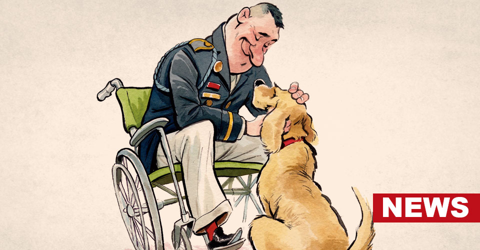 Can PTSD Service Dogs Improve Mental Health In Military Veterans?
