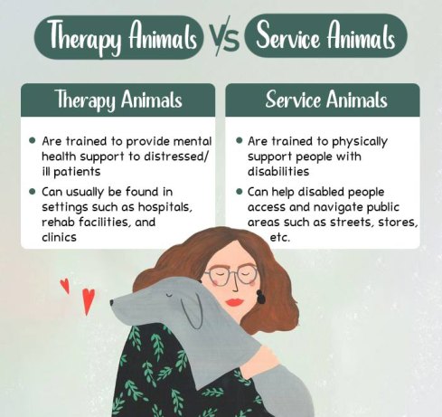 Animal assisted Therapy Activities with Dogs