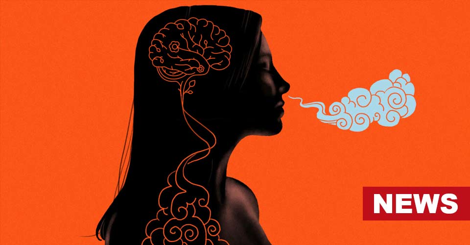 Breathing Shapes Our Brain And Mental Health