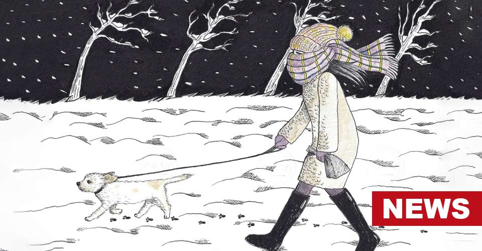 Does Winter Walking Benefit Our Mental Health?