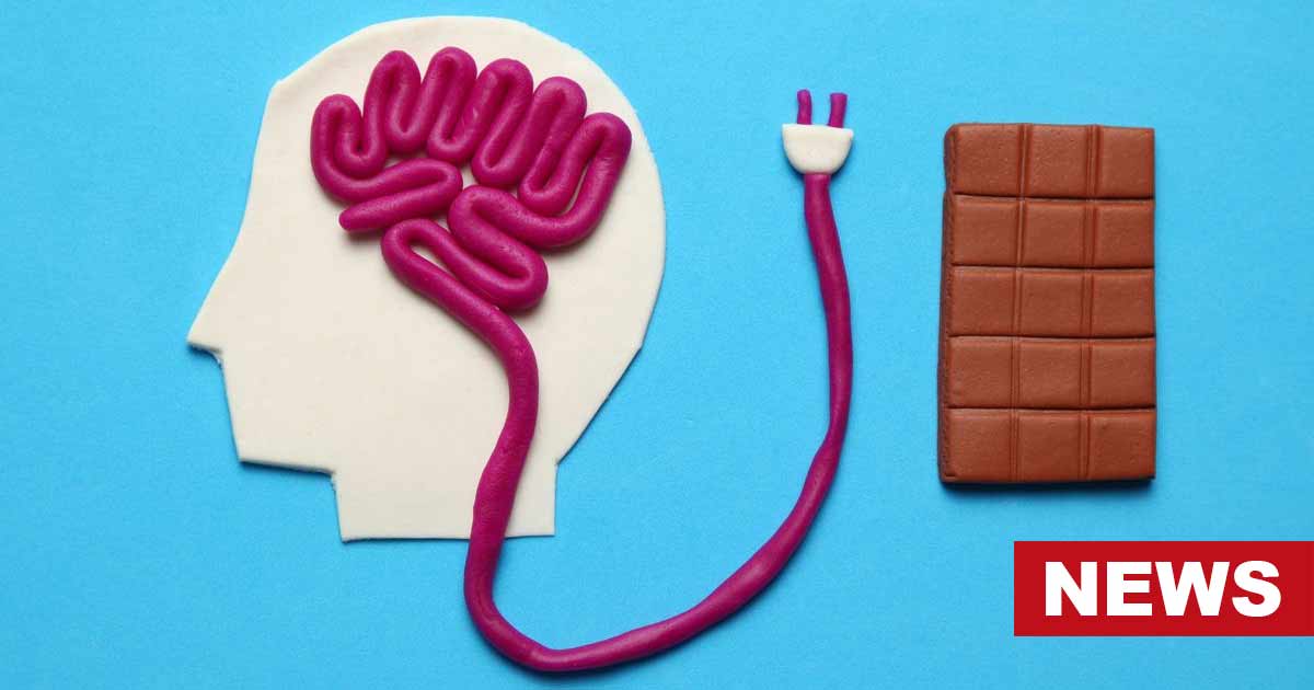 How Do Sweets Change Our Brain