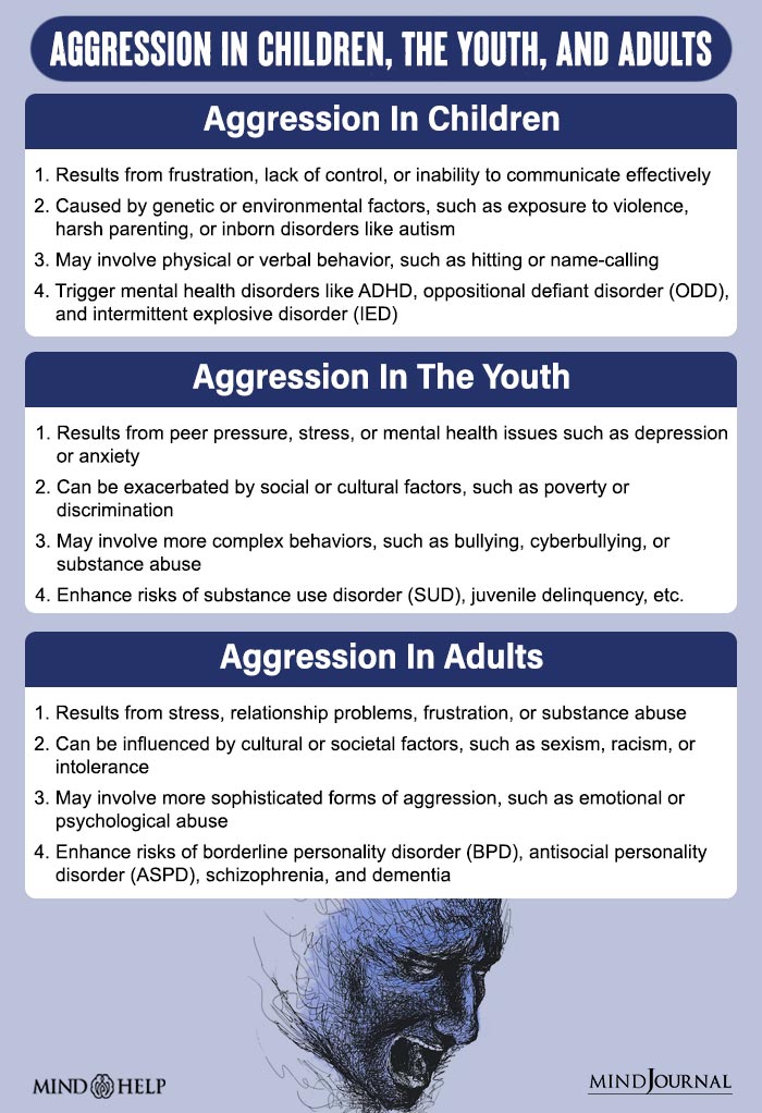 Aggression In Children  The Youth  And Adults
