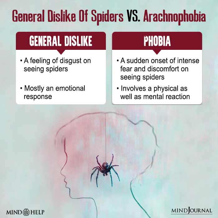 General Dislike of Spiders vs Arachnophobia