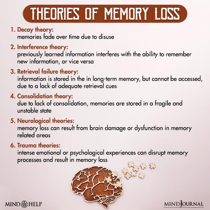 Theories Of Memory Loss