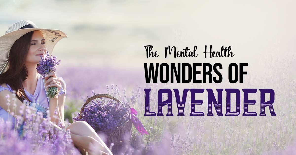 Mental health benefits of lavender