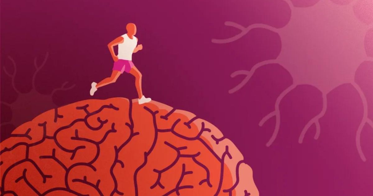 Exercises to Boost Brain Health