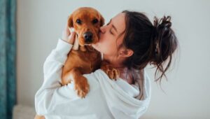 ESAs: Exploring The Life-Changing Benefits Of Support Animals