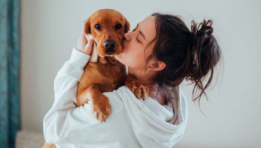 ESAs: Exploring The Life-Changing Benefits Of Support Animals