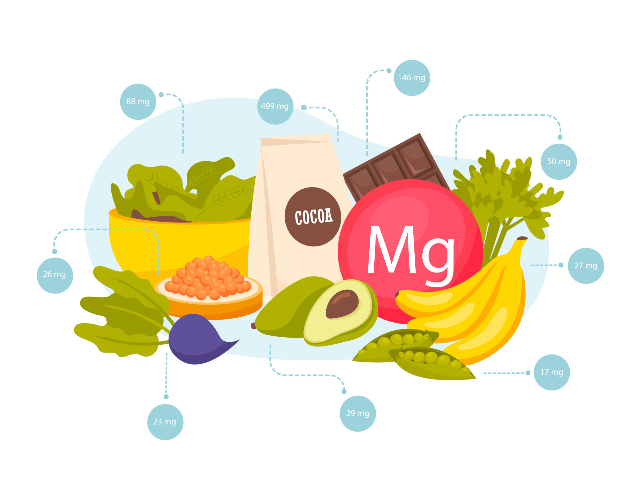 Magnesium Foods Composition